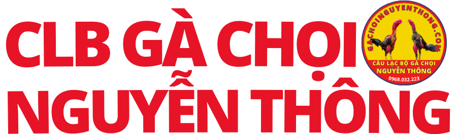 Gà Chọi Nguyễn Thông – Phú Yên